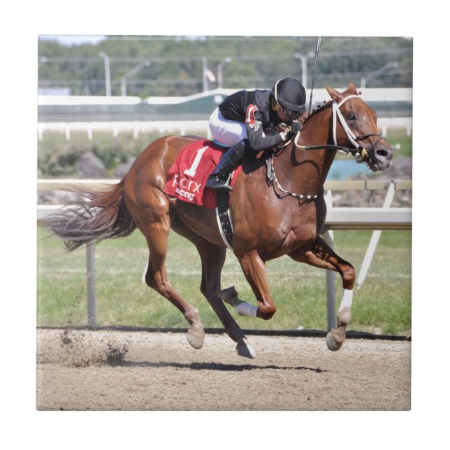 Carreau Rêver de Neno (Devant)