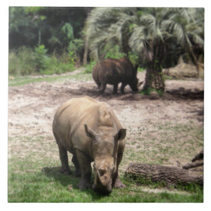 Carreau Rhinocéros sur la tuile de photo de safari