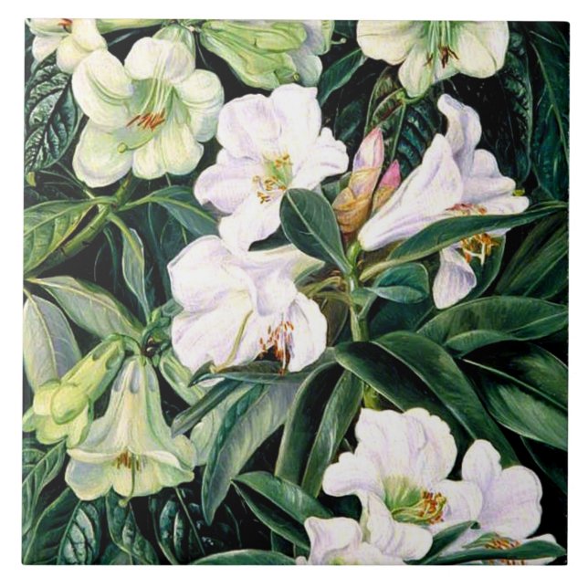 Carreau Rhododendron de l'Inde du Nord (Devant)