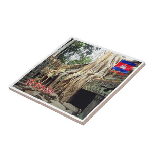 Carreau Rif. KH Cambodge, Ta Prohm,