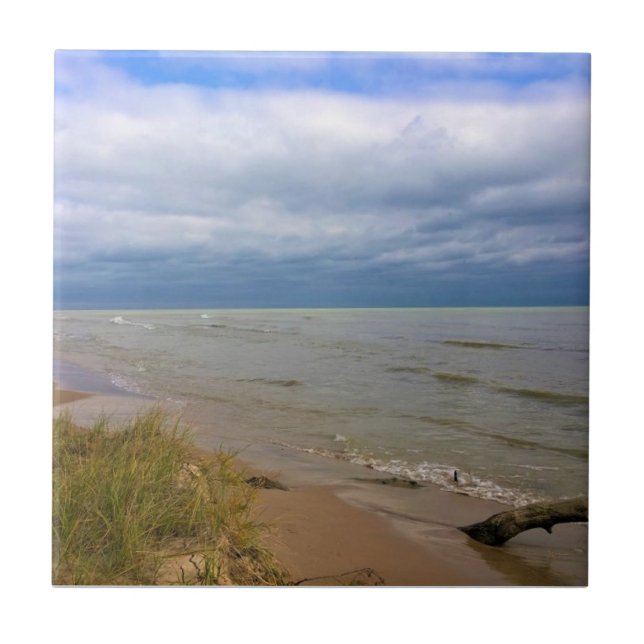 Carreau Rive du lac Michigan, Sheyboygan, WI (Devant)