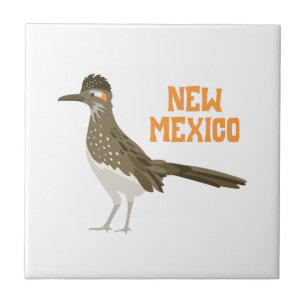 Carreau Roadrunner au Nouveau-Mexique
