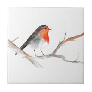 Carreau Robin Oiseau Faune Aquarelle Vintage colorée