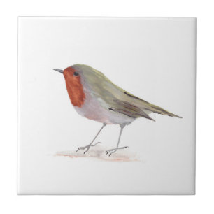 Carreau Robin Oiseau Faune Aquarelle Vintage colorée