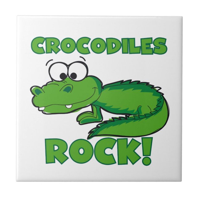 Carreau Roche de crocodiles (Devant)