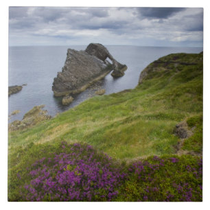 Carreau Roche de violon d'arc, Portknockie, Ecosse