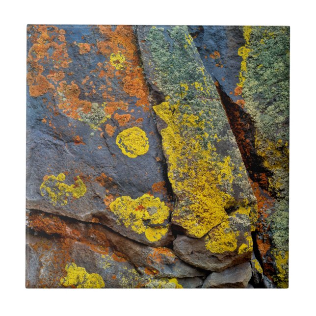 Carreau Roches couvertes de Lichen (Devant)