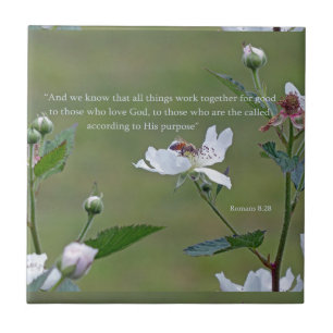 Carreau Romains 8:28