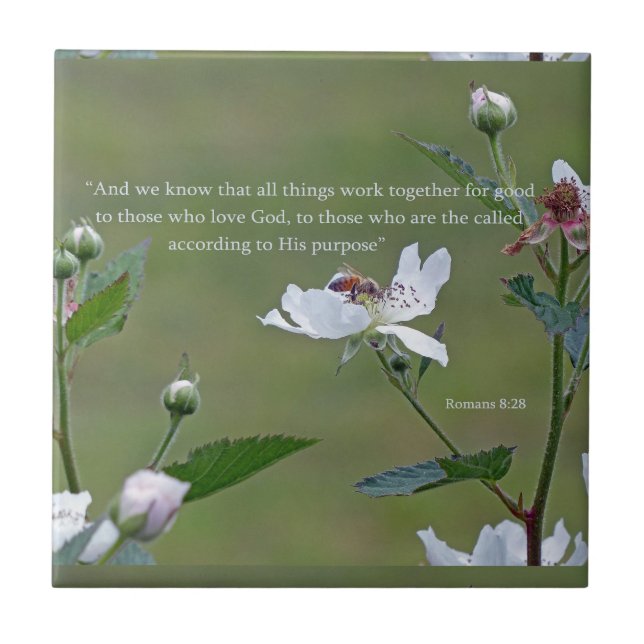 Carreau Romains 8:28 (Devant)