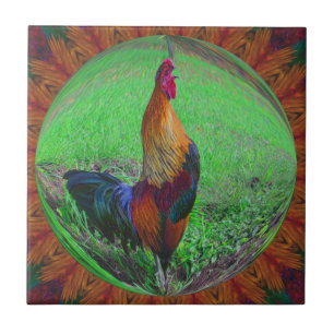 Carreau Rooster Dans Bubble Nature Carrelage D'Art Abstrai