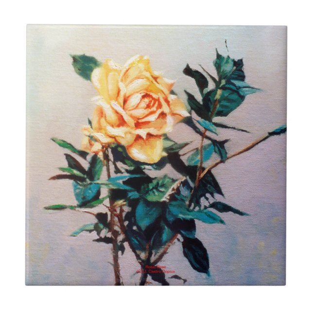 Carreau Rosa/Rose (Devant)