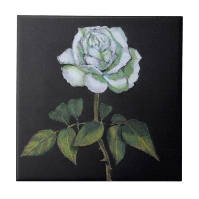 Carreau Rose blanc sur l'arrière - plan noir : Crayon de (Devant)