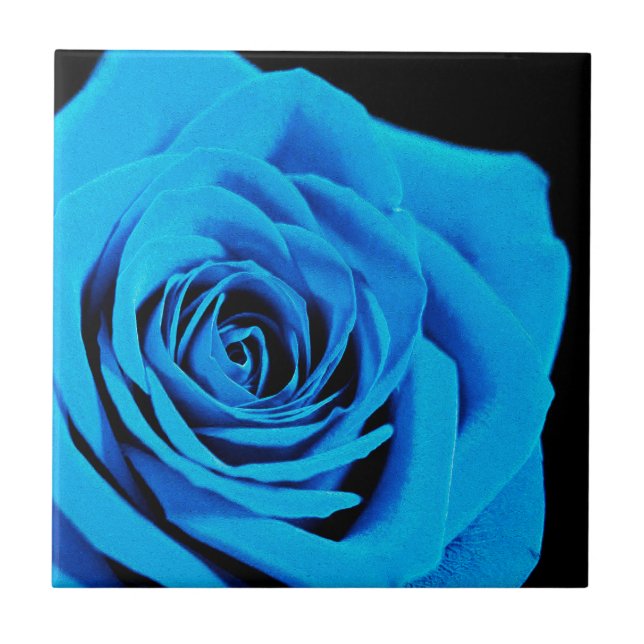 Carreau Rose bleu (Devant)