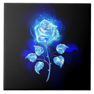 Carreau Rose bleu brûlant