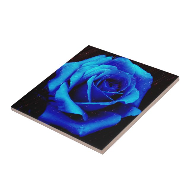Carreau Rose bleu spectaculaire (Côté)