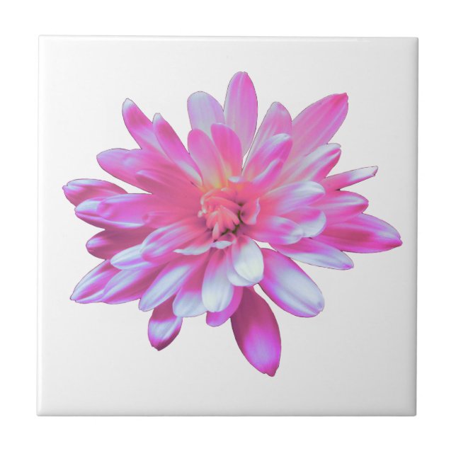 Carreau Rose Daisy rose fleur rose rose floral (Devant)