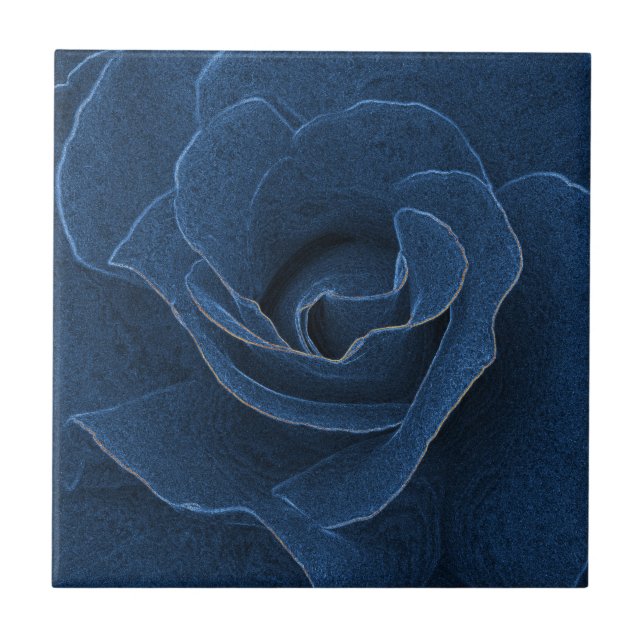 Carreau Rose de bleu de velours (Devant)