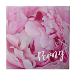 Carreau Rose de fleurs de pivoine pour fleurs et amoureux