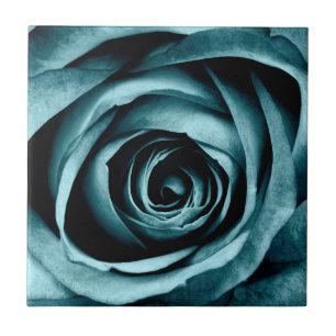 Carreau Rose de macro