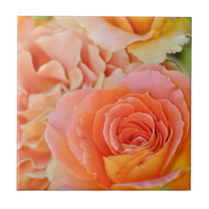 Carreau Rose de thé hybride orange