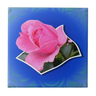 Carreau Rose Rose Pop Out Floral Art Carrelage