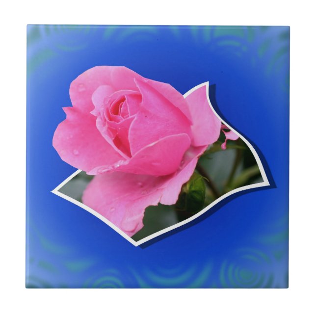 Carreau Rose Rose Pop Out Floral Art Carrelage (Devant)