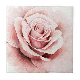 Carreau Rose rose rose