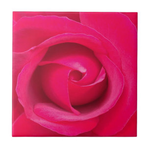 Carreau Rose rose rouge romantique