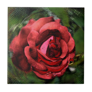 Carreau Rose rouge à travers verre Floral Art Carrelage