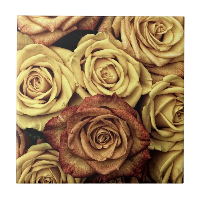 Carreau Rose sepiqué (Devant)