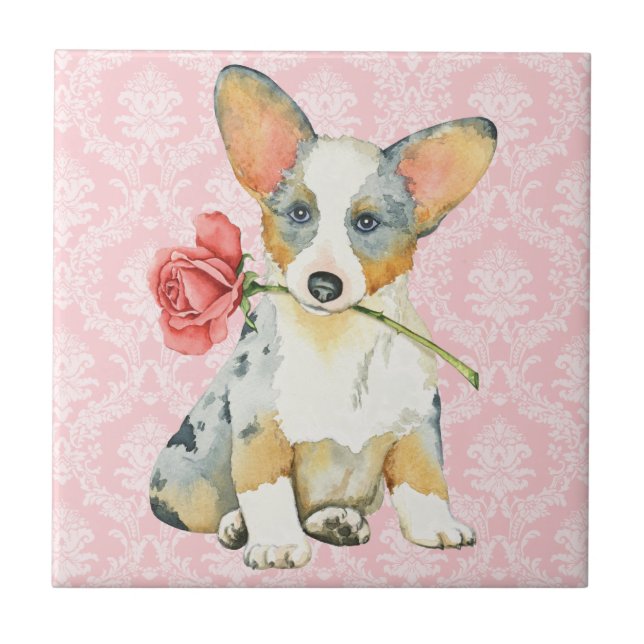 Carreau Rose Valentin Cardigan Welsh Corgi (Devant)