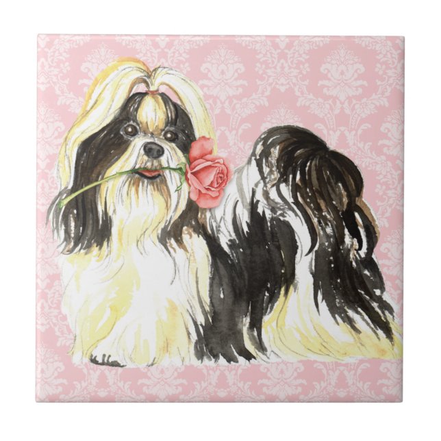 Carreau Rose Valentin Shih Tzu (Devant)