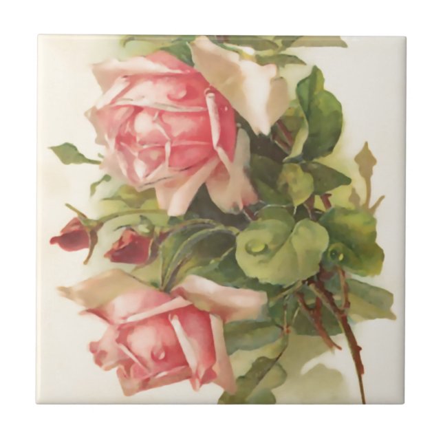 Carreau Rose vintage de rose (Devant)
