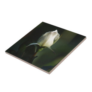 Carreau Rosebud blanc