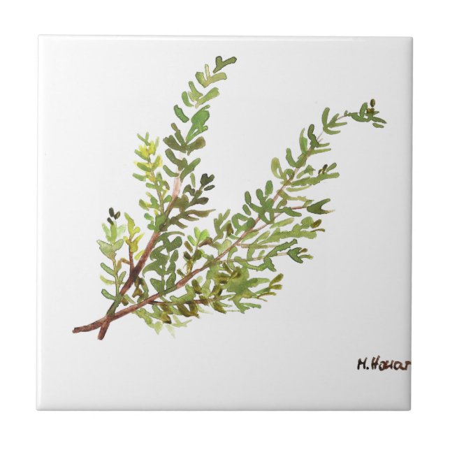 Carreau Rosemary herbe aquarelle cuisine Verdure rustique (Devant)