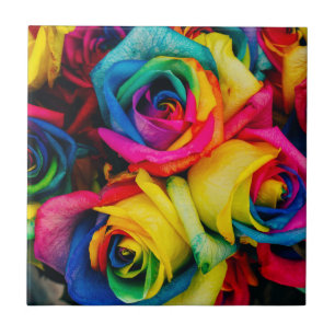 Carreau Roses Arc-En-Ciel De Couleur Glorieuse