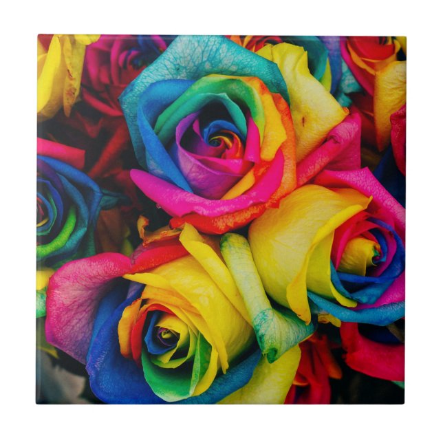 Carreau Roses Arc-En-Ciel De Couleur Glorieuse (Devant)