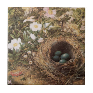 Carreau Roses de nids d'oiseaux et de chiens par John Will