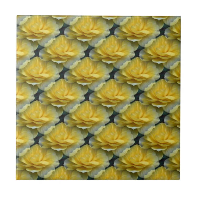 Carreau Roses Jaunes Art Floral Carrelage Nature (Devant)