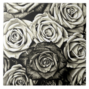 Carreau Roses noires et blanches