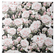 Roses roses douces