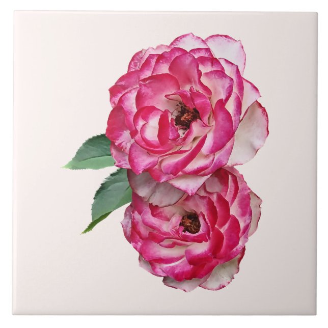 Carreau Roses roses et blanches (Devant)