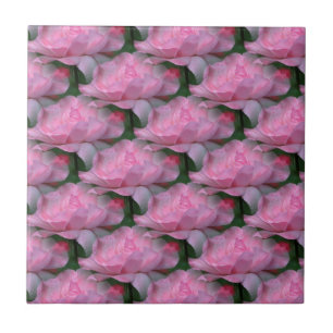 Carreau Roses roses roses Florales Art Nature Carrelage