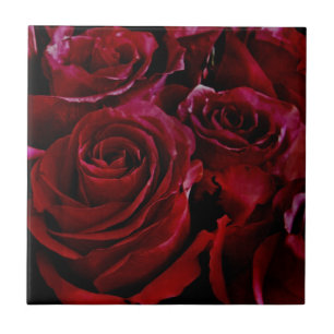 Carreau Roses rouges tout autour