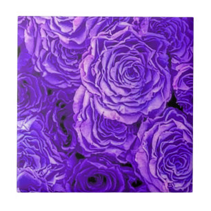 Carreau Roses violets