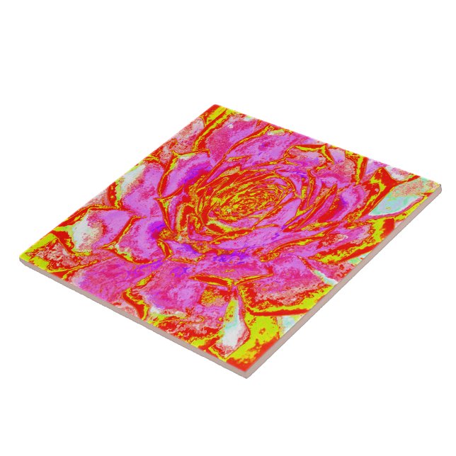 Carreau Rosette Succulente Succulente rose, rouge et jaune (Côté)
