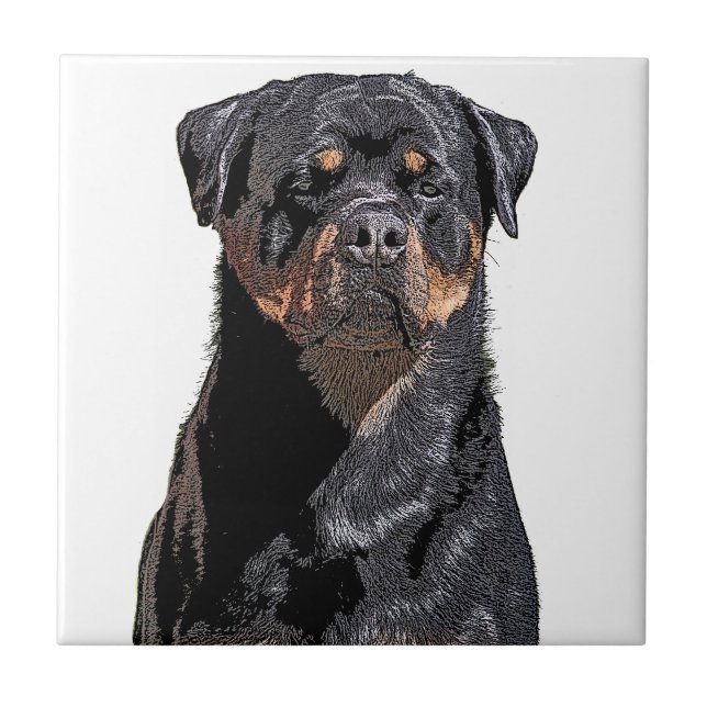 Carreau Rottweiler (Devant)