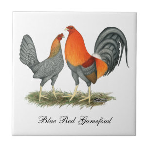 Carreau Rouge bleu Gamefowl