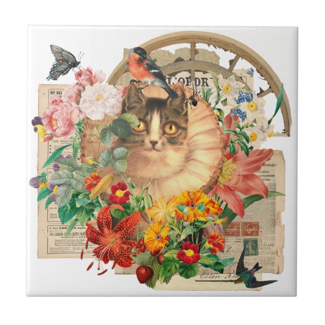 Carreau Royal Cat avec Ami Bird et Fleur sauvage (Devant)