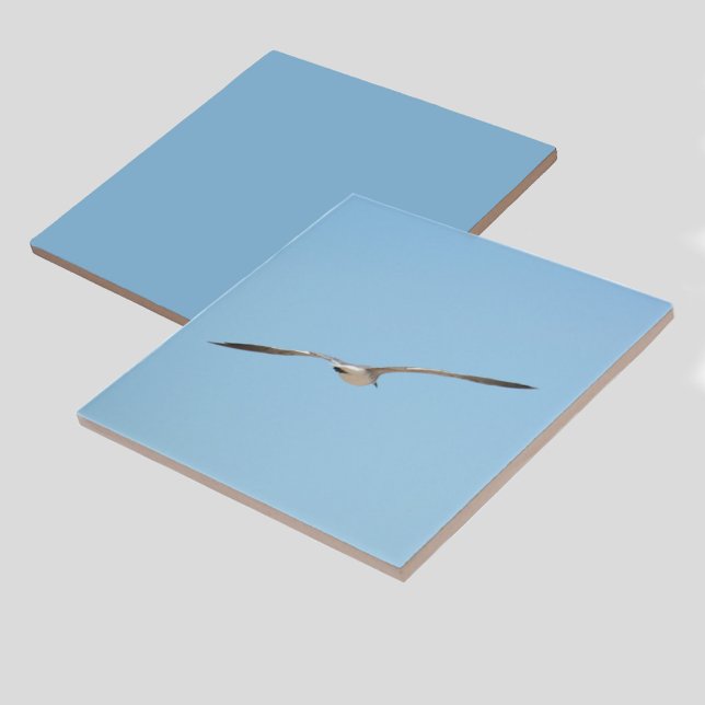 Carreau Royal Tern en vol Blue Sky Coastal (1 of 7 coordinating bird in flight coastal sky blue ceramic tiles)